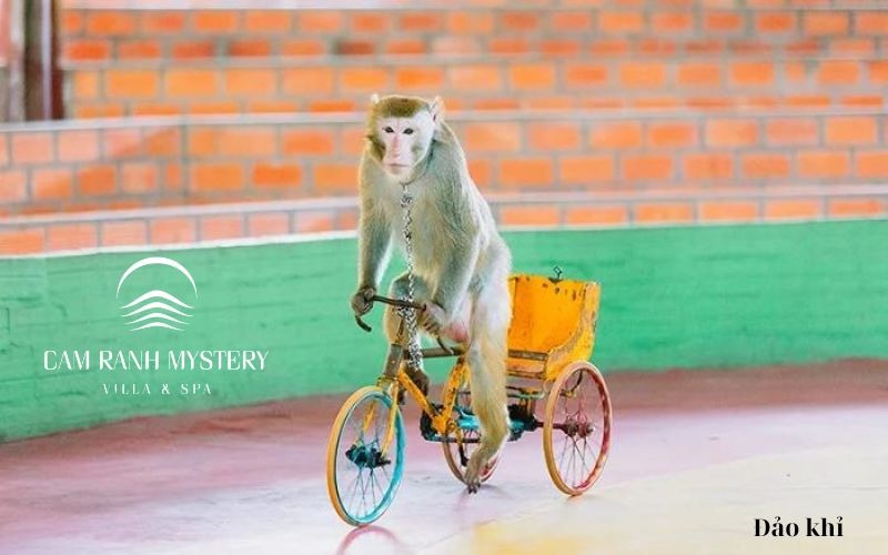 Monkey Island– Nha Trang tourist destinations