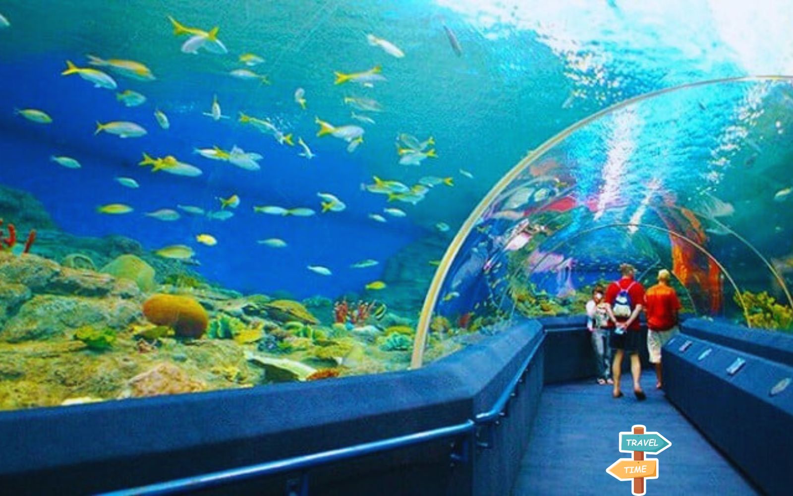 Share experiences of visiting Nha Trang Institute of Oceanography in DETAILS