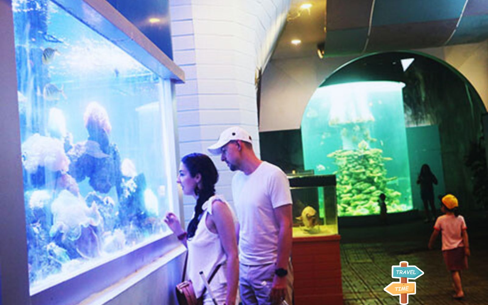 Experience going to Nha Trang Institute of Oceanography from A-Z
